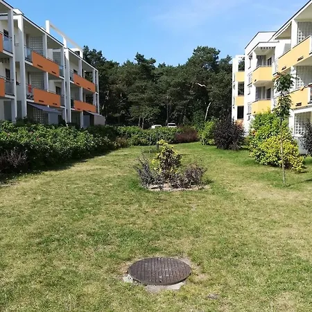 Aldona W Jantarze Apartment