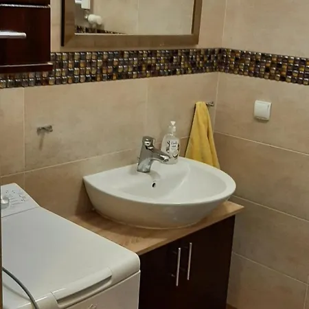 Apartment Aldona W Jantarze *