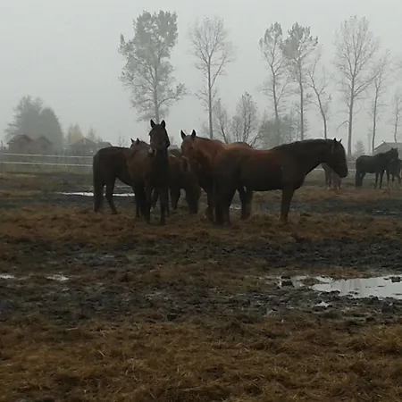 Aldona W Jantarze Jantar