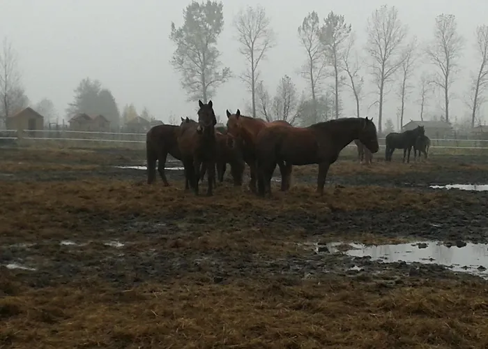 Aldona W Jantarze Jantar